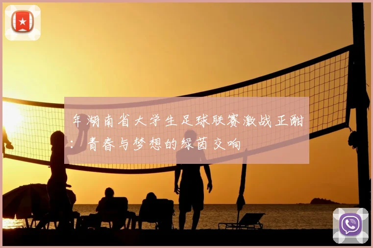 年湖南省大学生足球联赛激战正酣：青春与梦想的绿茵交响