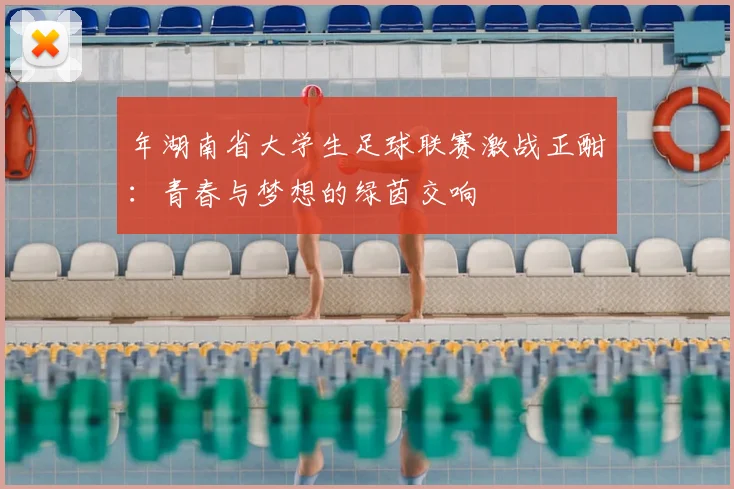年湖南省大学生足球联赛激战正酣：青春与梦想的绿茵交响